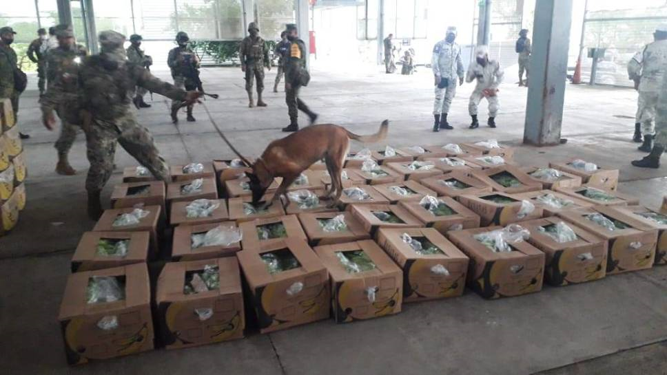 Tractocamión con 182 kilos de clorhidrato de cocaína es asegurado en Chiapas