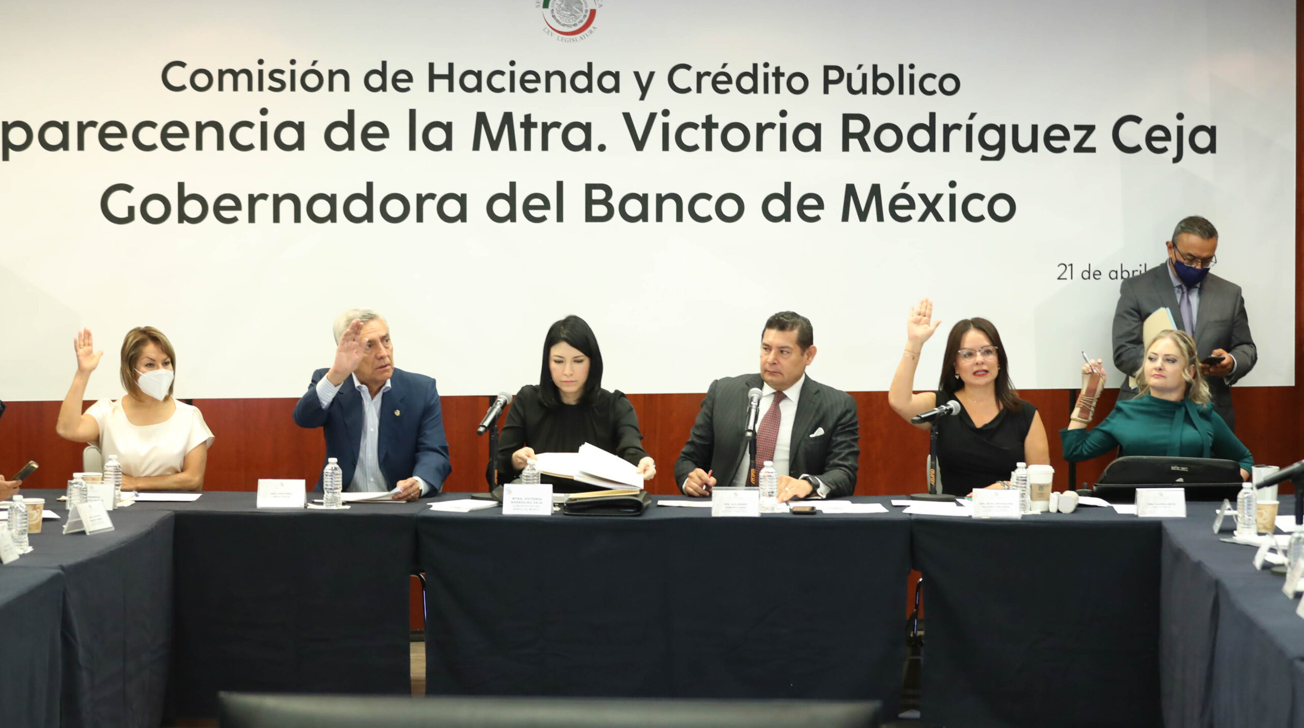 Proteger fortaleza del peso, compromiso de Banxico, afirma ante el Senado Rodríguez Ceja