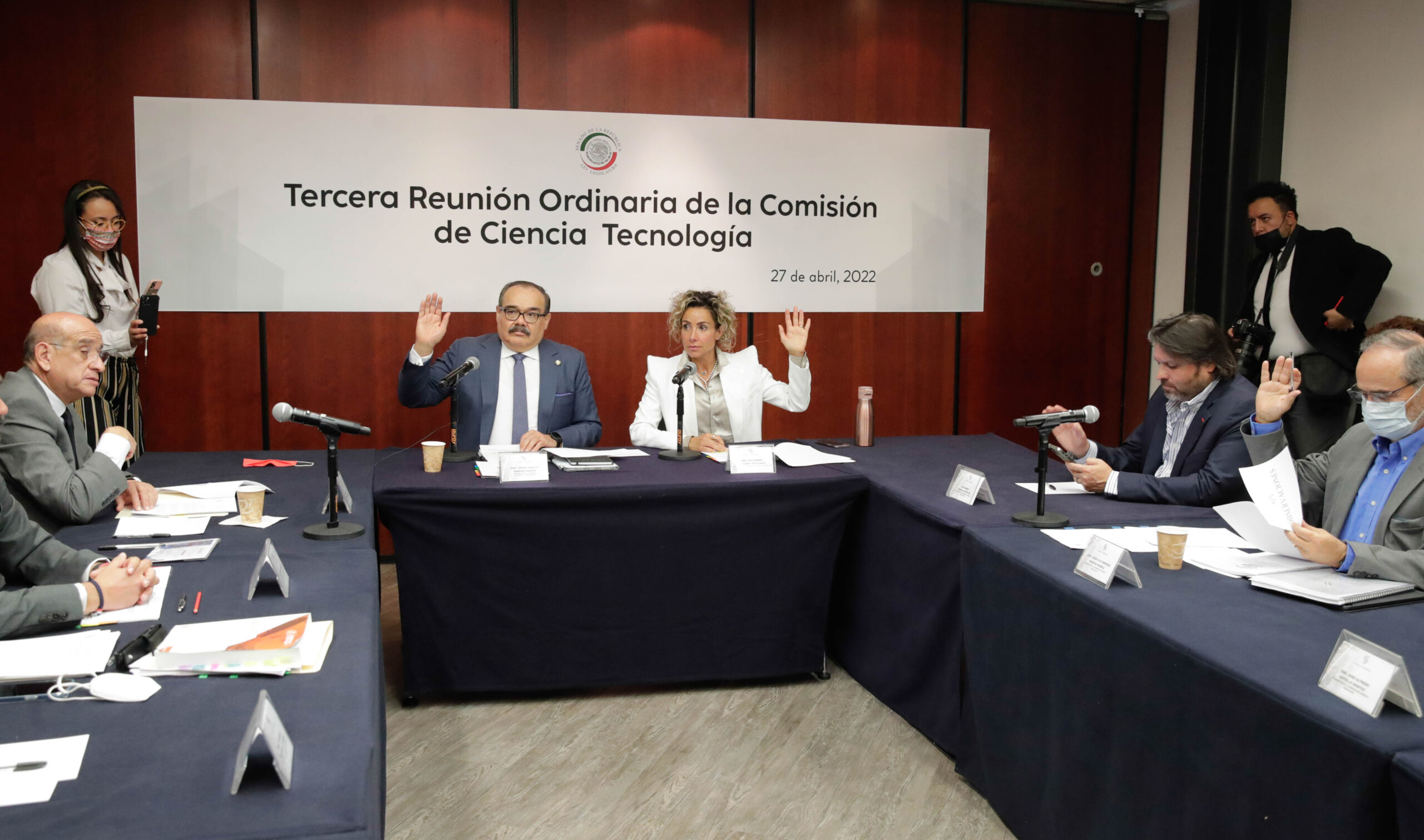 Avalan acuerdo para citar a María Elena    Álvarez-Buylla, titular de Conacyt