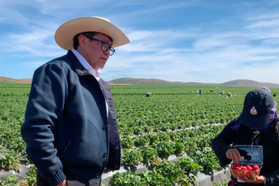 Asegurar derechos laborales en el campo, objetivo de Monreal