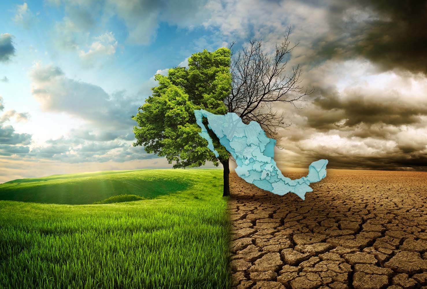 Foto: revistatoxicshock.com