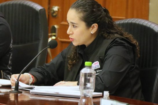 Con IEEM, certeza en resultados electorales: Amalia Pulido