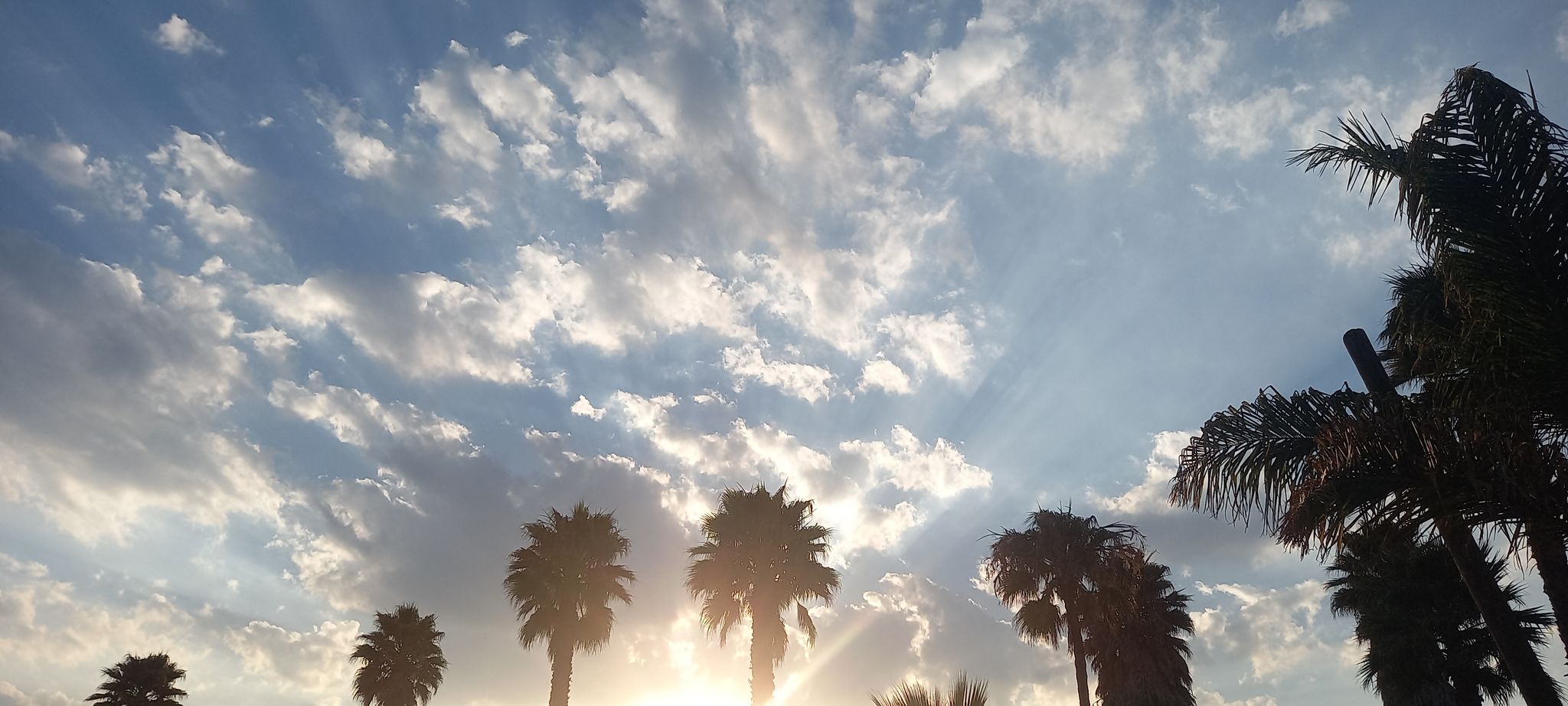 Sesiones de ti: He descubierto tu sabor a sol - mexicopolitico.com,mx