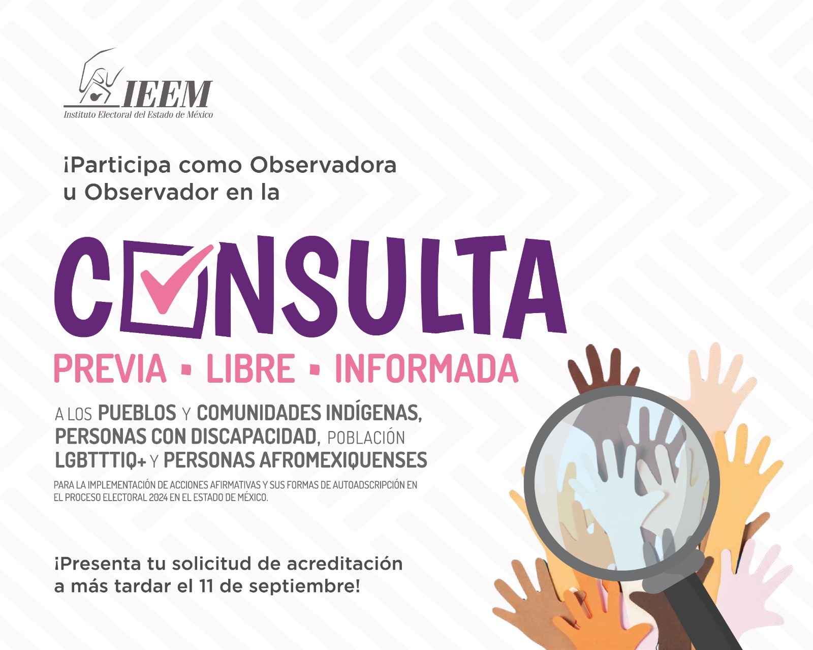 INVITA IEEM A REGISTRARSE COMO OBSERVADORA U OBSERVADOR ELECTORAL ...