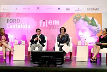 Romper barreras en la participación política de las personas con discapacidad intelectual: Pulido Gómez