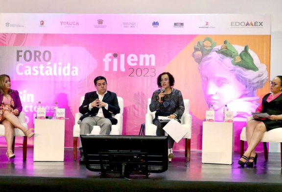 Romper barreras en la participación política de las personas con discapacidad intelectual: Pulido Gómez