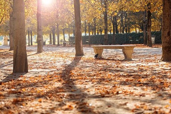 El otoño en México iniciará más cálido que en 30 años