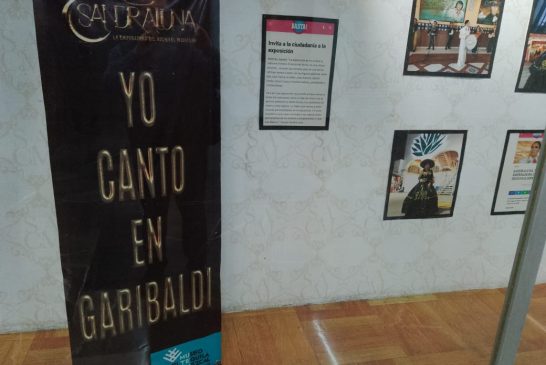 Historias en el Metro: Garibaldi en división