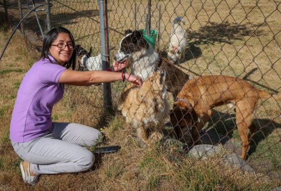 Especialista promueve tenencia responsable para mascotas