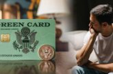Green Card, corazón de plástico