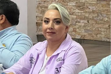 La SCJN y el imperativo de los derechos humanos. una mirada hacia Verónica Elizabeth Ucaranza