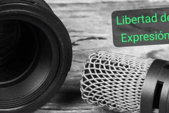 Libertad de expresión: Salud y Educación, en el hoyo