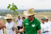 Se fortalace en lo nacional la estructura Verde