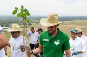Se fortalace en lo nacional la estructura Verde