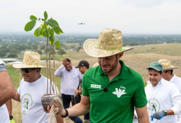 Se fortalace en lo nacional la estructura Verde