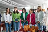 Busca el PVEM en el Congreso del EdoMéx, garantizar el derecho a una menstruación digna
