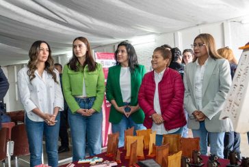 Busca el PVEM en el Congreso del EdoMéx, garantizar el derecho a una menstruación digna