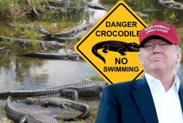 Alligator Alcatraz: la distopía migratoria que ya está aquí