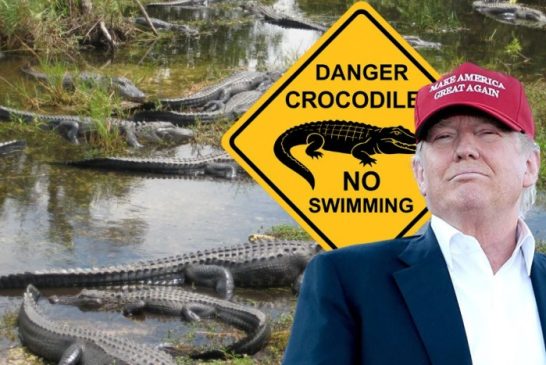 Alligator Alcatraz: la distopía migratoria que ya está aquí