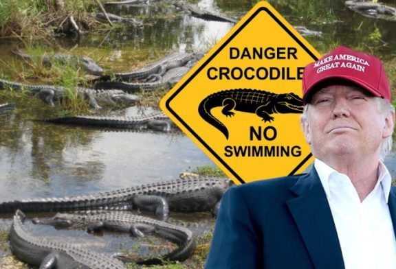 Alligator Alcatraz: la distopía migratoria que ya está aquí