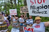 Florida convierte la migración en espectáculo de represión