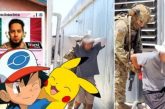 Pokemón migratorio