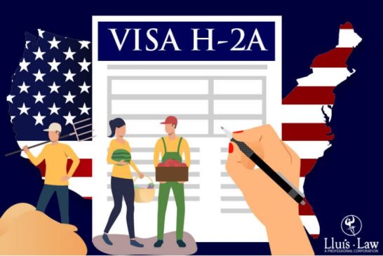 Estados Unidos recorta salarios y derechos, la nueva cara de su modelo agrícola