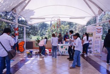 Alianza permanente de protección a la Mariposa Monarca entre federación y gobierno del EdoMex