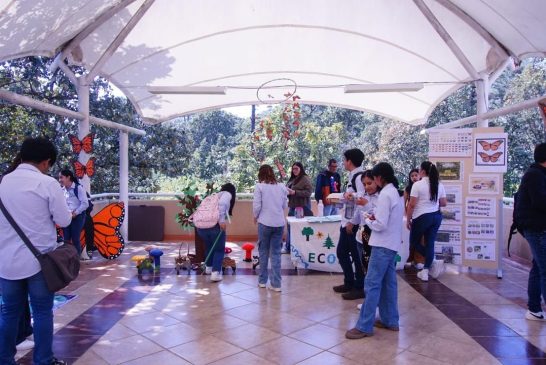 Alianza permanente de protección a la Mariposa Monarca entre federación y gobierno del EdoMex