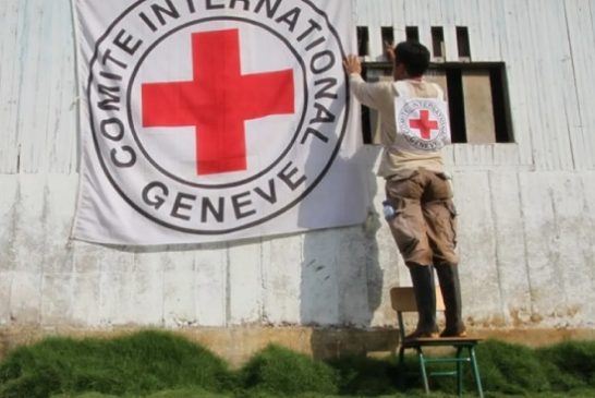 Cruz Roja anuncia recortes drásticos ante desplome global de donaciones