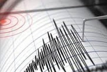 Guía básica sobre qué hacer en caso de sismo
